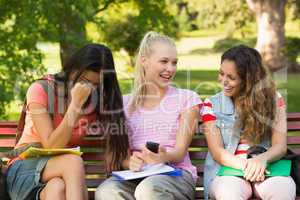 Happy female college friends sitting on campus bench