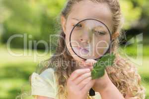 Girl examining leaf with magnifying glass at park