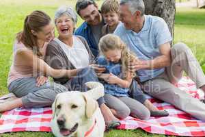 Cheerful extended family sitting on picnic blanket at park