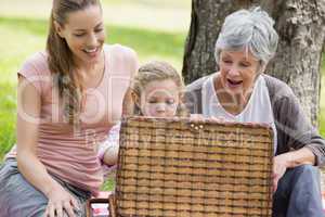 Grandmother mother and daughter with picnic basket at park