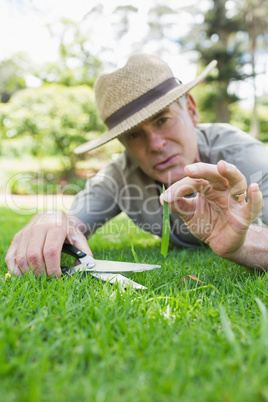 Man cutting grass with scissors