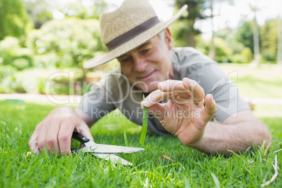 Man cutting grass with scissors