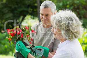 Mature couple engaged in gardening