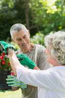 Mature couple engaged in gardening