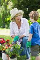 Grandmother and grandson engaged in gardening