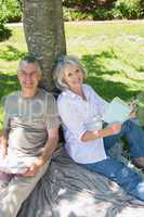 Smiling mature couple sitting against tree at park