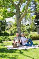 Mature couple sitting against a tree at park