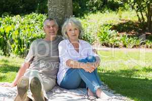 Smiling mature couple sitting against a tree at park
