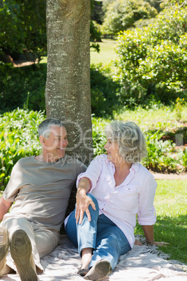 Relaxed couple sitting together against tree at park