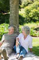 Relaxed couple sitting together against tree at park