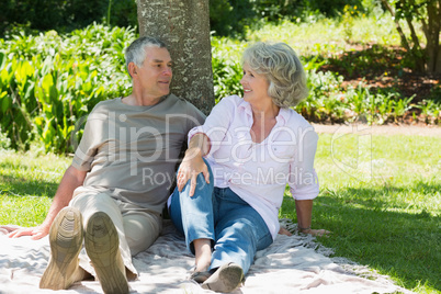 Mature couple sitting together against tree at park