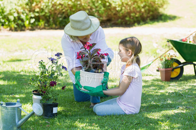 Grandmother and granddaughter engaged in gardening