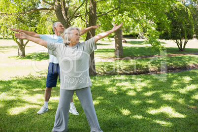 Mature couple stretching hands at park