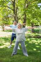 Mature couple stretching hands at park