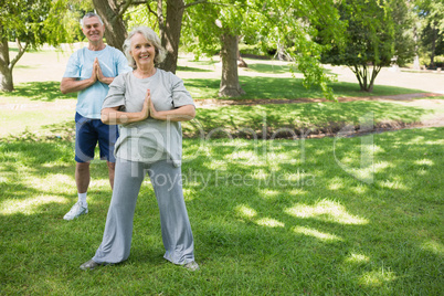 Mature couple with joined hands at park