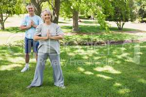 Mature couple with joined hands at park