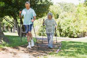 Mature couple Nordic walking at park