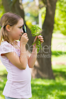 Girl examining leaves with a magnifying glass at park
