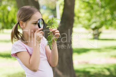 Girl examining leaves with magnifying glass at park