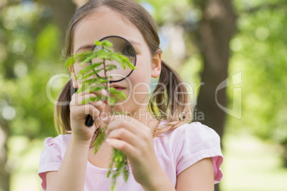 Girl examining leaves with magnifying glass at park