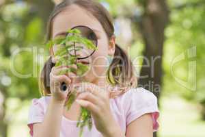 Girl examining leaves with magnifying glass at park