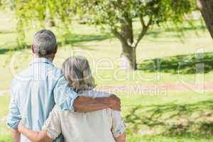 Rear view of loving mature couple at park