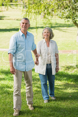 Loving mature couple holding hands at summer park