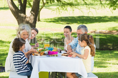 Extended family having lunch in lawn