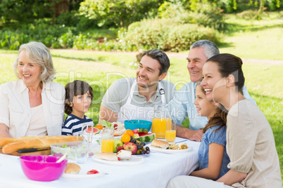 Extended family having lunch in the lawn