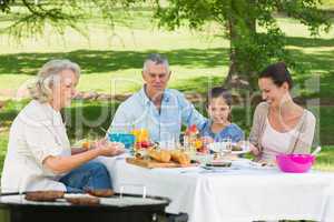 Grandparents mother and daughter having lunch in lawn