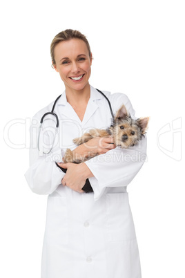 Happy vet holding yorkshire terrier puppy smiling at camera