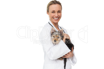 Pretty vet holding yorkshire terrier puppy smiling at camera