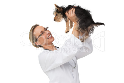 Vet lifting up yorkshire terrier and smiling