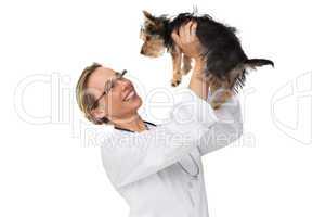 Vet lifting up yorkshire terrier and smiling