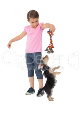 Cute yorkshire terrier puppy playing with little girl holding ch