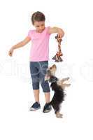 Cute yorkshire terrier puppy playing with little girl holding ch