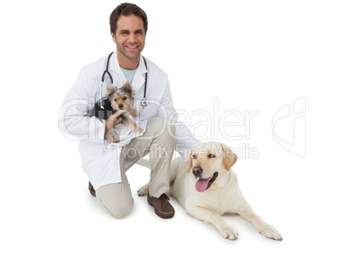 Handsome vet posing with yorkshire terrier and yellow labrador