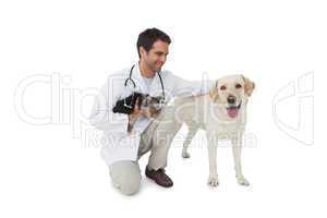 Happy vet posing with yorkshire terrier and yellow labrador