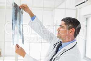 Male doctor examining xray