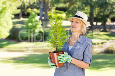 Woman looking at potted plant in garden