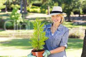 Woman holding potted plant in garden