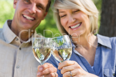 Smiling couple toasting wine glasses