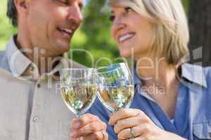 Romantic couple toasting wine glasses