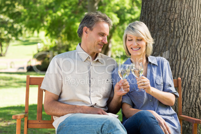 Couple toasting wine glasses in park