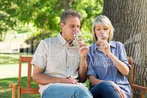 Couple drinking wine in park