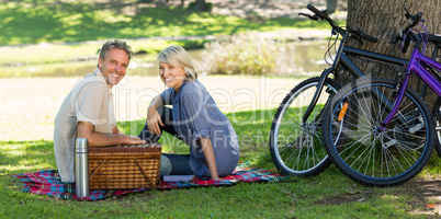 Couple with picnic basket in park