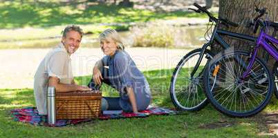 Couple with picnic basket in park
