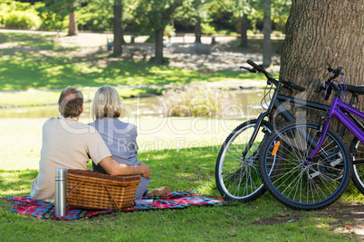 Couple with picnic basket in park