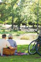 Couple with picnic basket in park