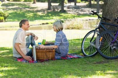 Couple enjoying drinks in picnic